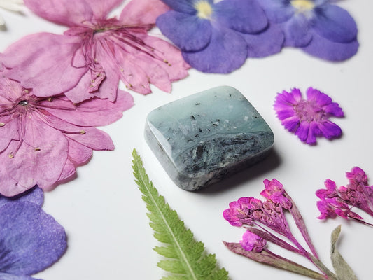 BC Ocean picture stone