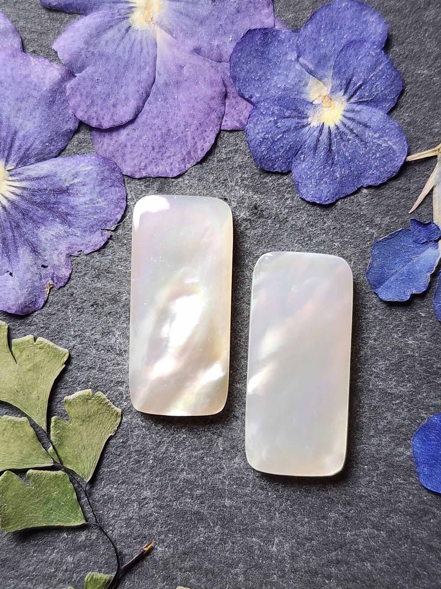 Mother of pearl shell pair