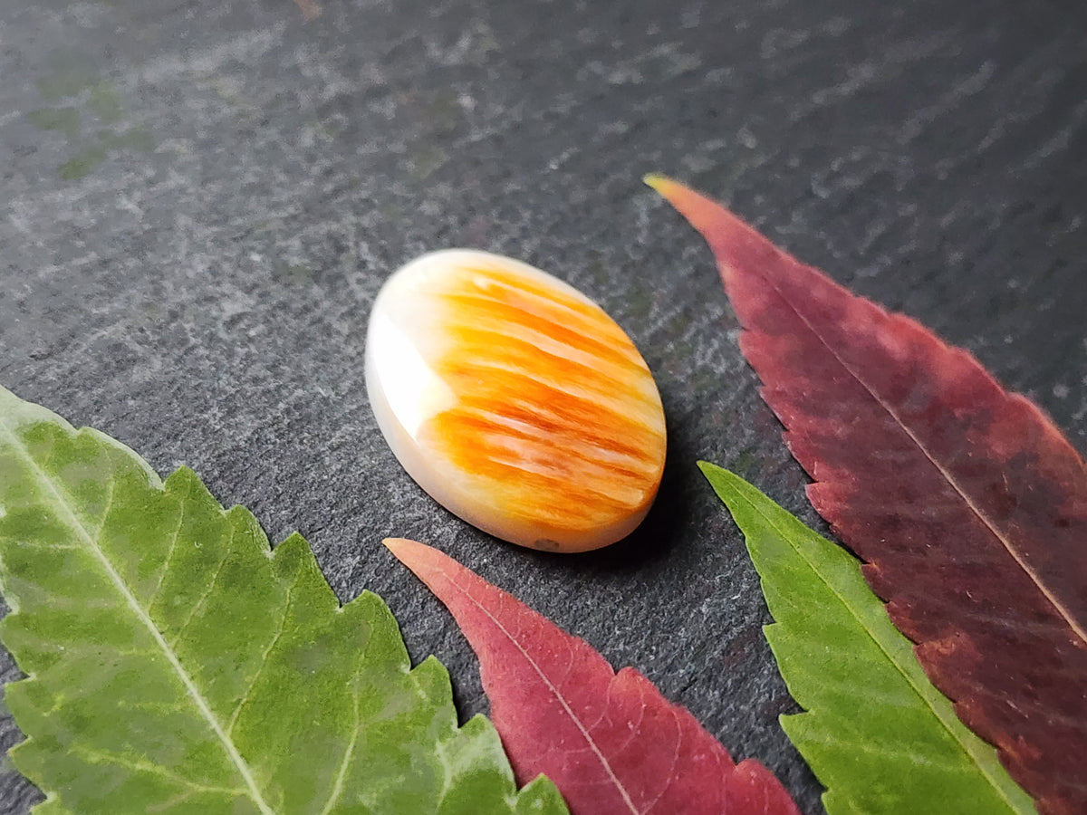 Spiny shell oyster