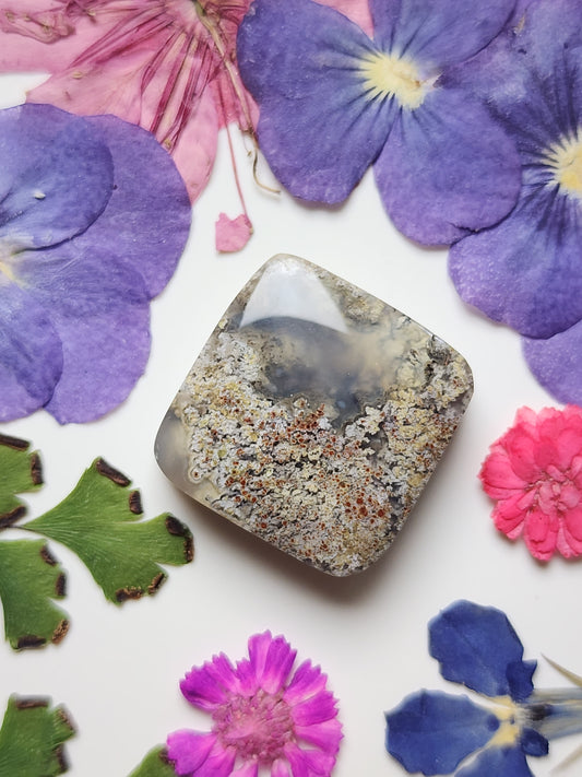 Garden Moss agate