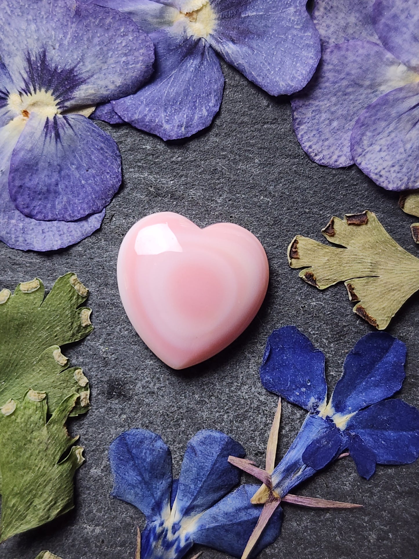 Pink Conch shell heart