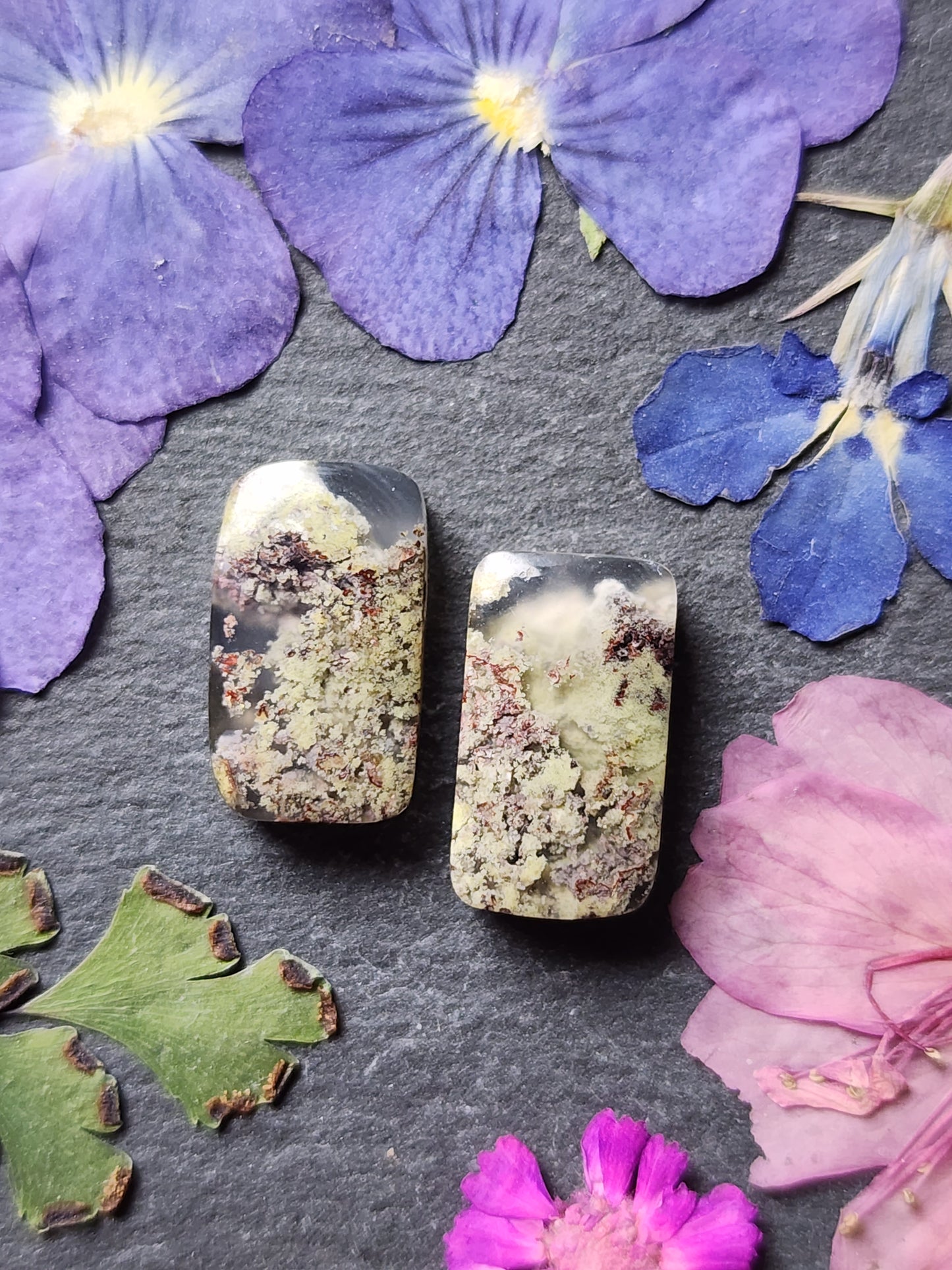 Garden Moss agate pair