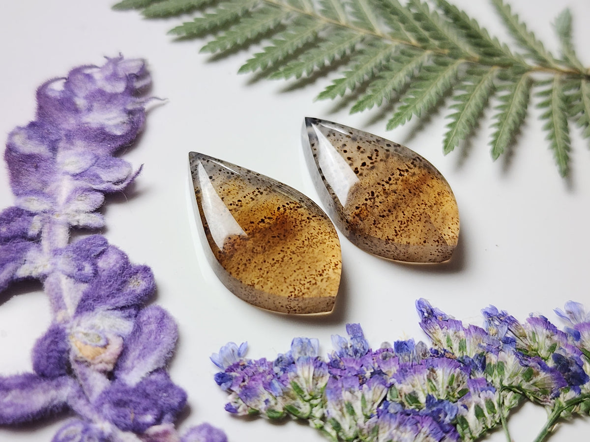 Montana agate pair
