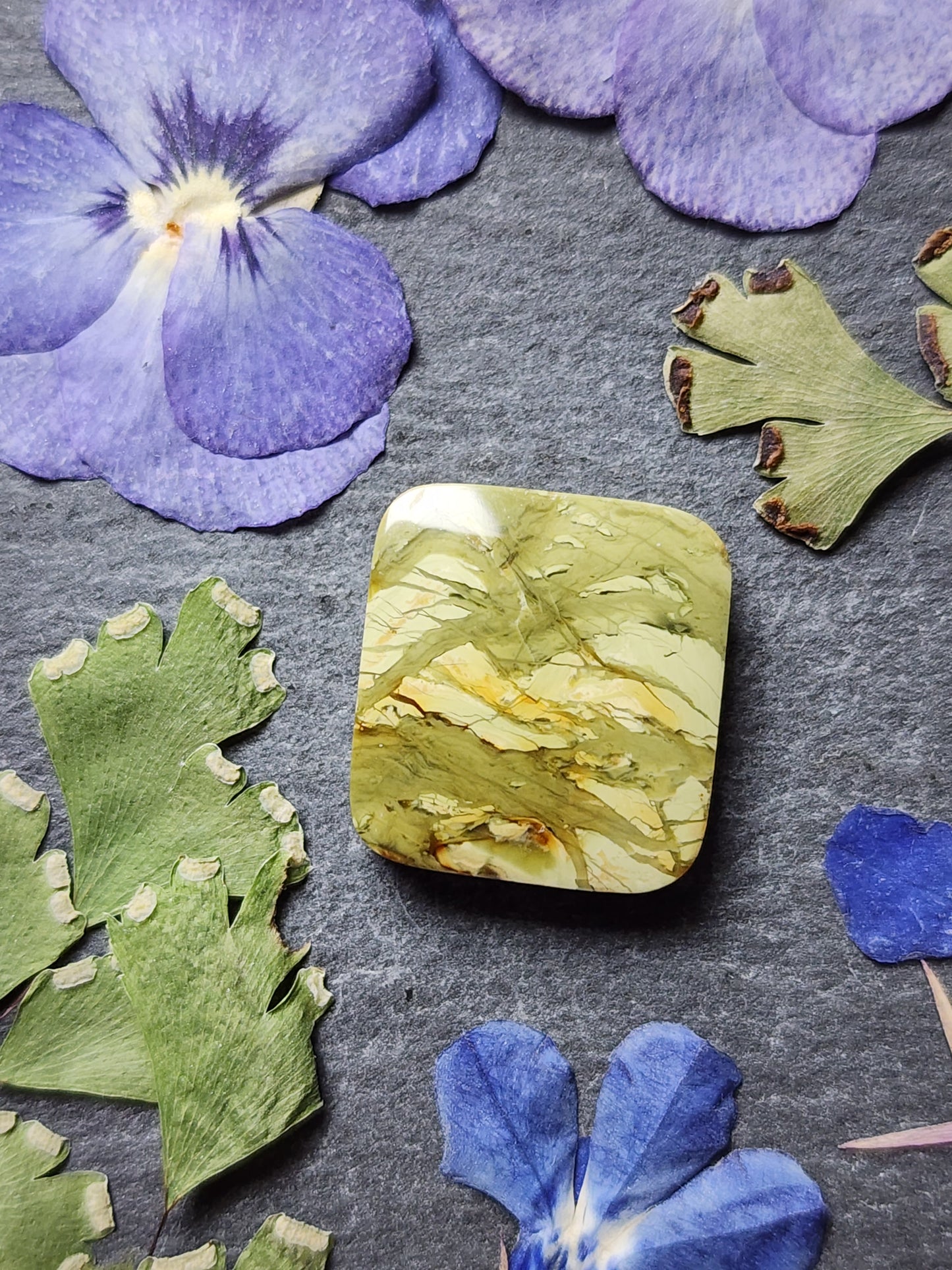 Morrisonite jasper