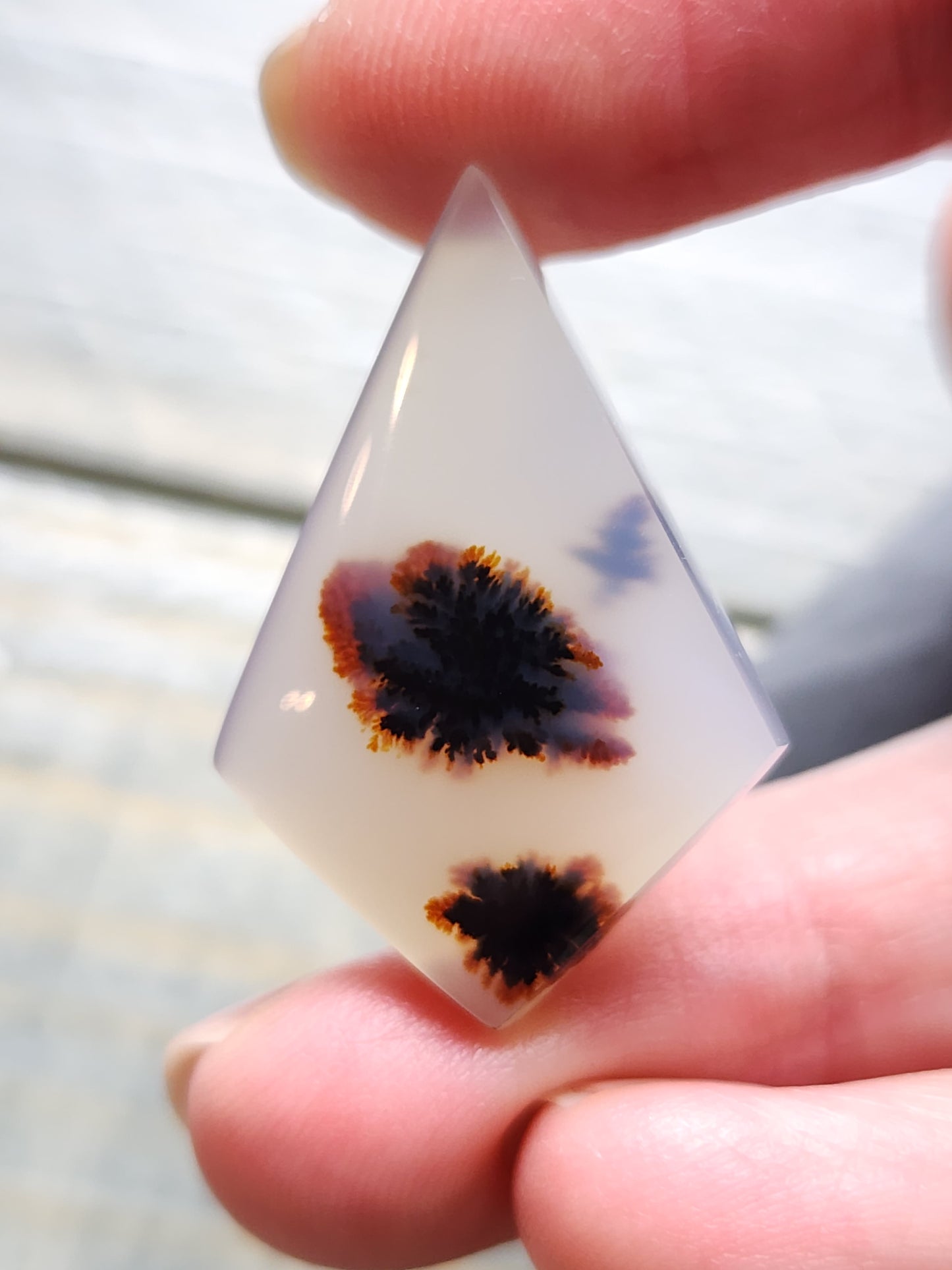 Montana agate