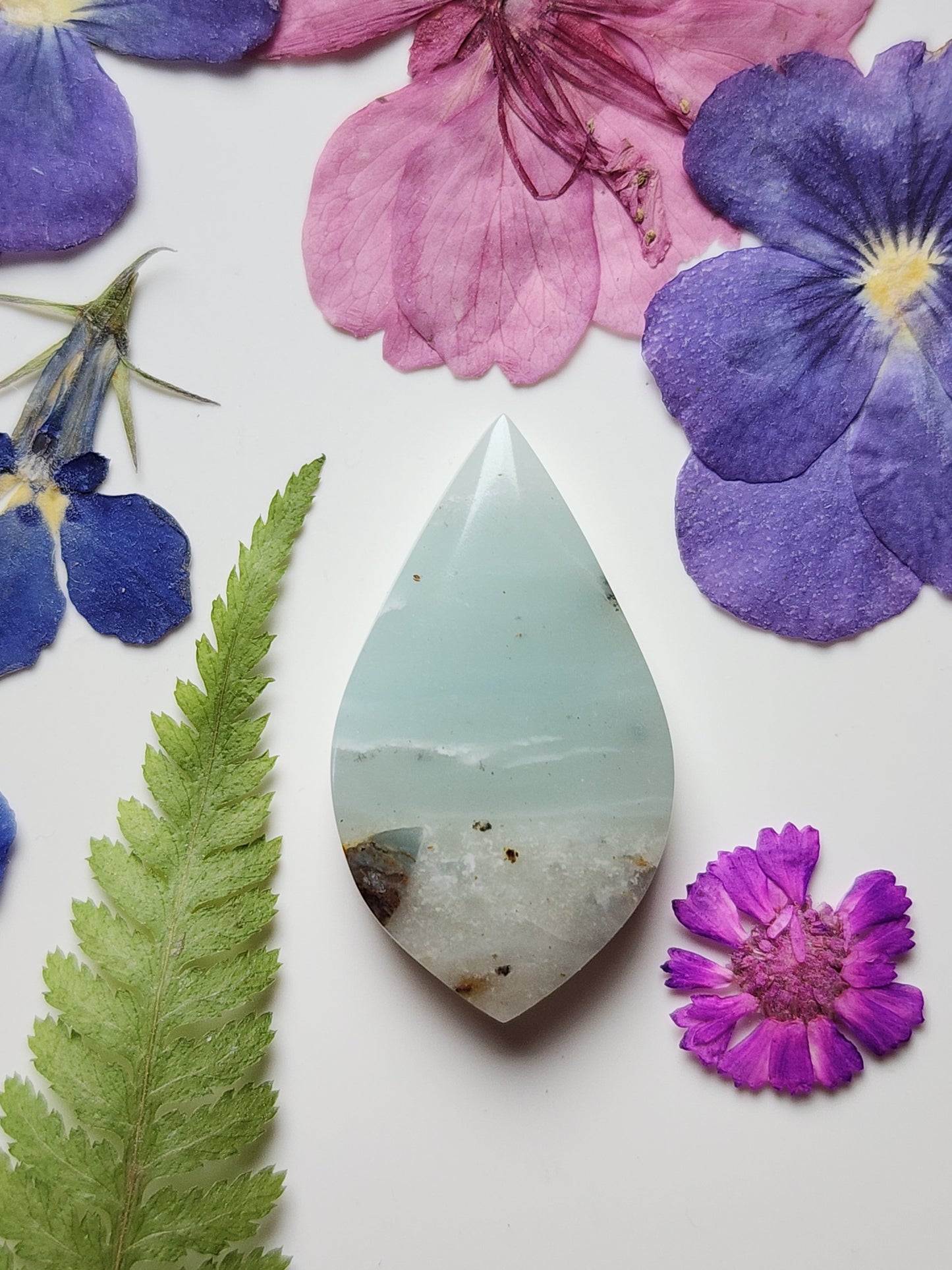 BC Ocean picture stone