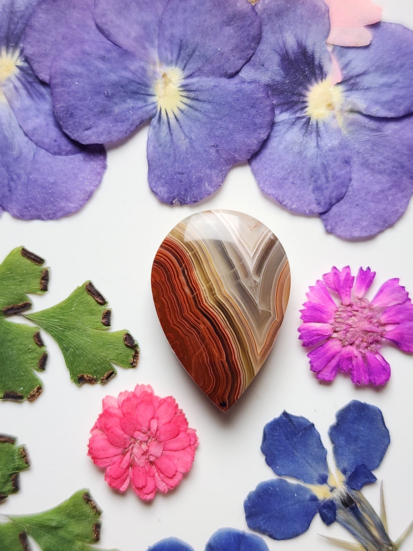 Laguna lace agate