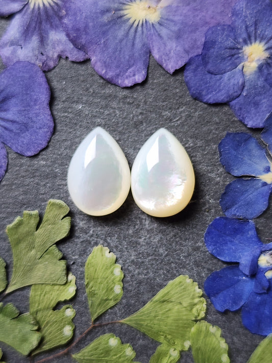 Mother of pearl shell pair (A2)