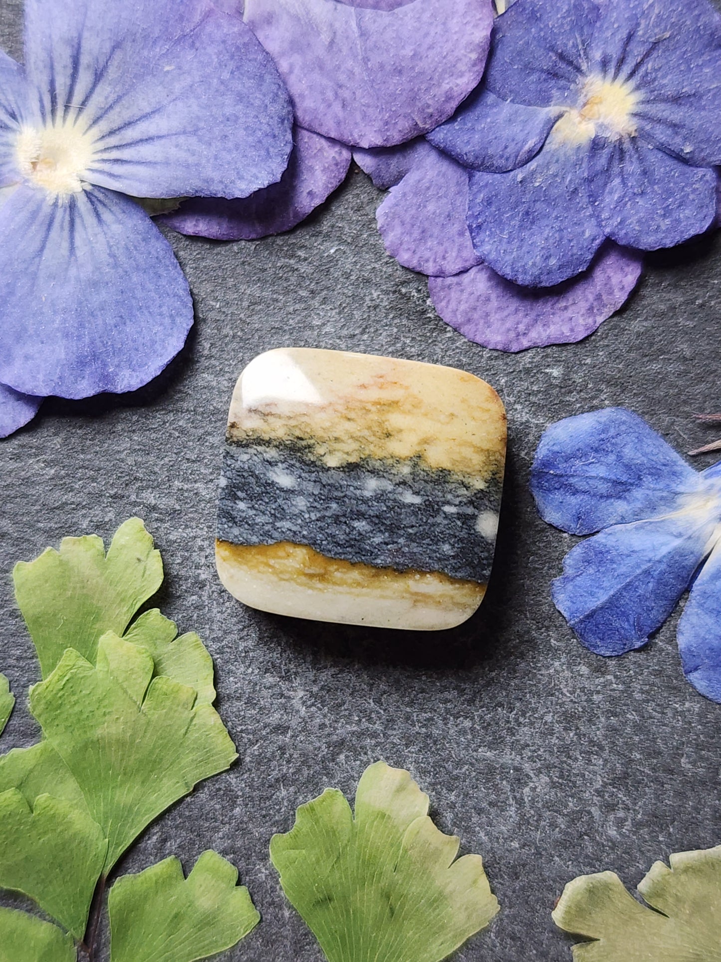 Starry night picture jasper