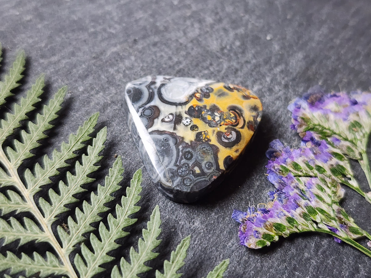 Galaxy Rhyolite