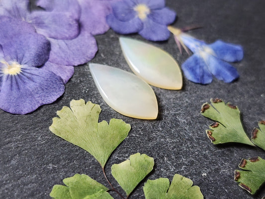 Mother of pearl shell pair
