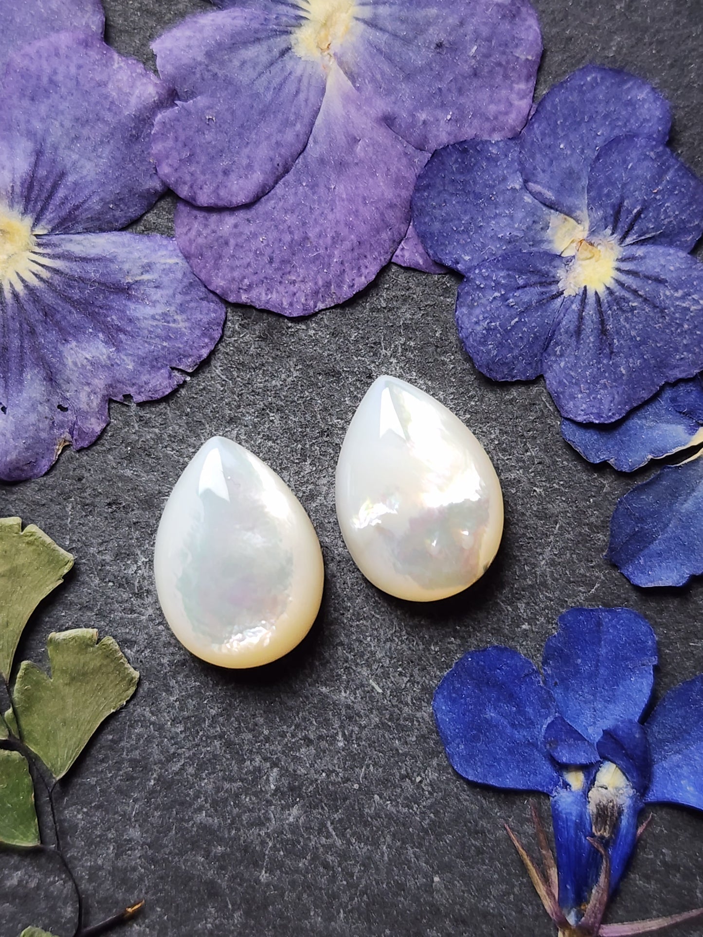 Mother of pearl shell pair (A1)