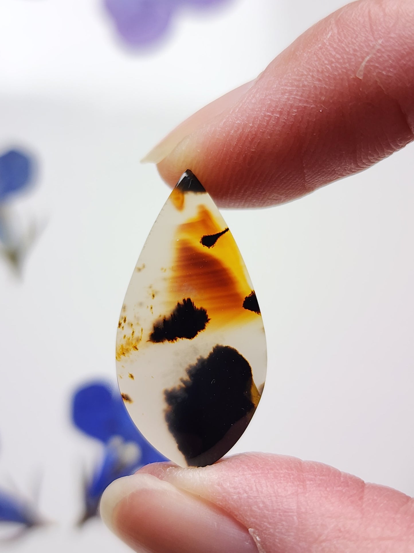 Montana agate
