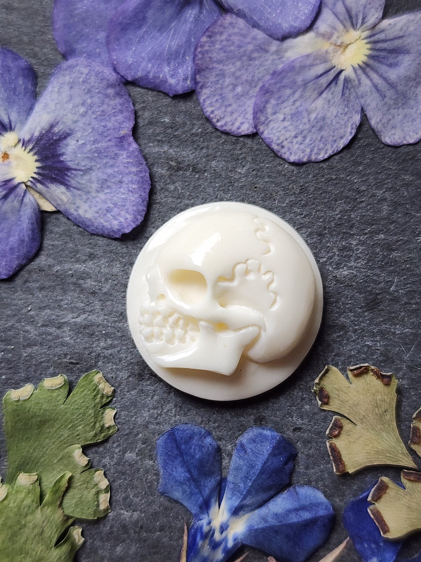 Side profile skull