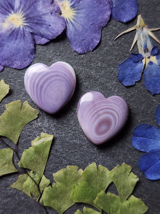 Wampum shell heart pair
