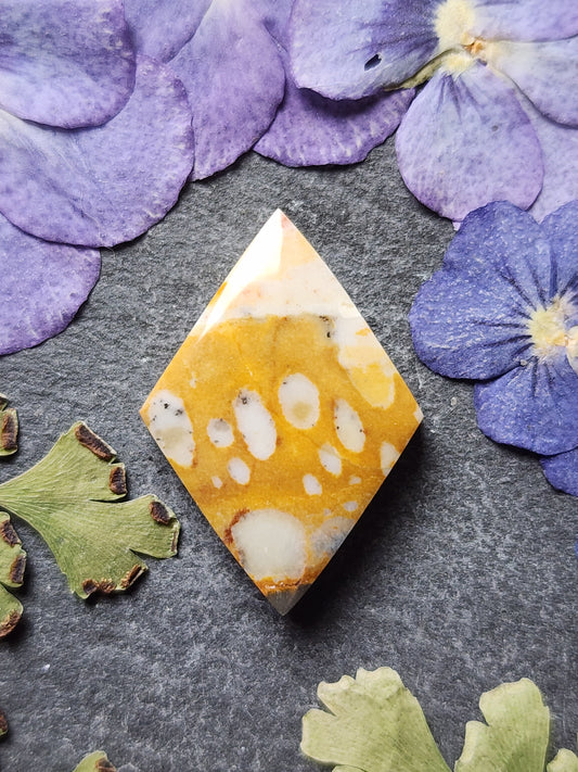 Spotted Fawn jasper