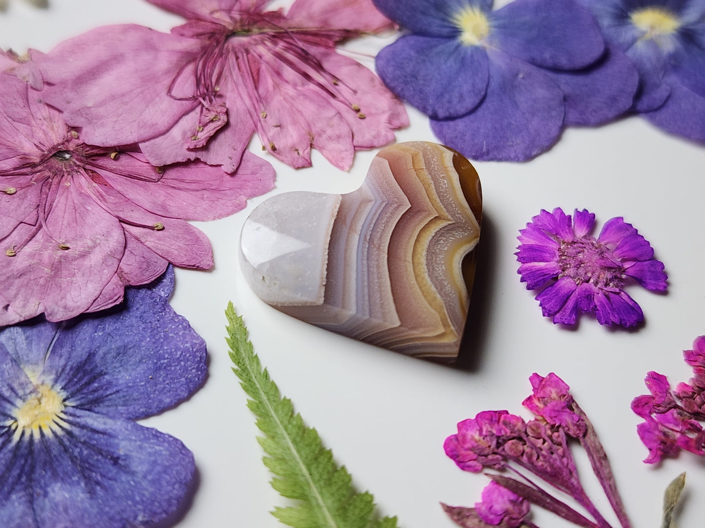 Agua Nueva agate heart