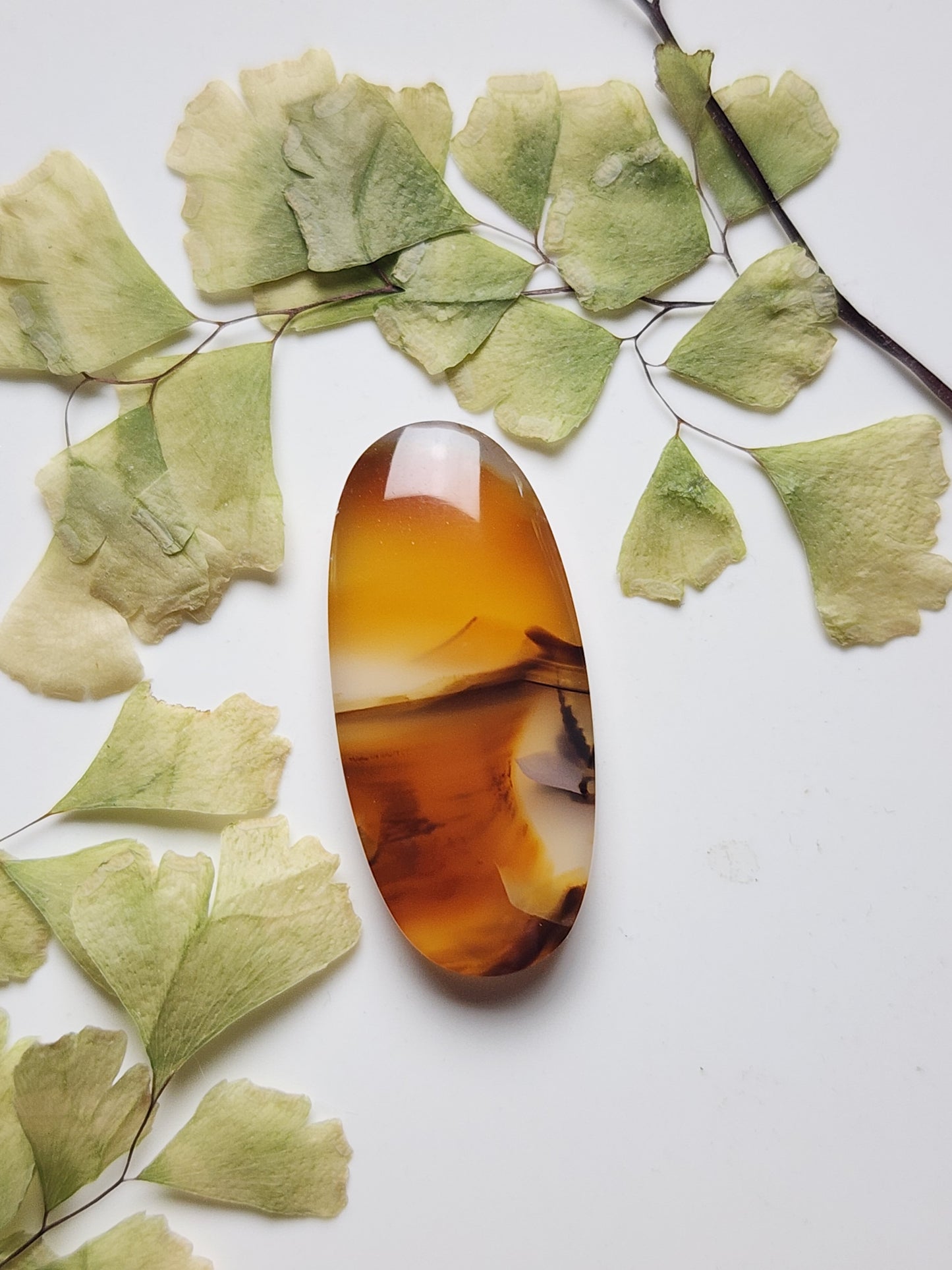 Montana agate