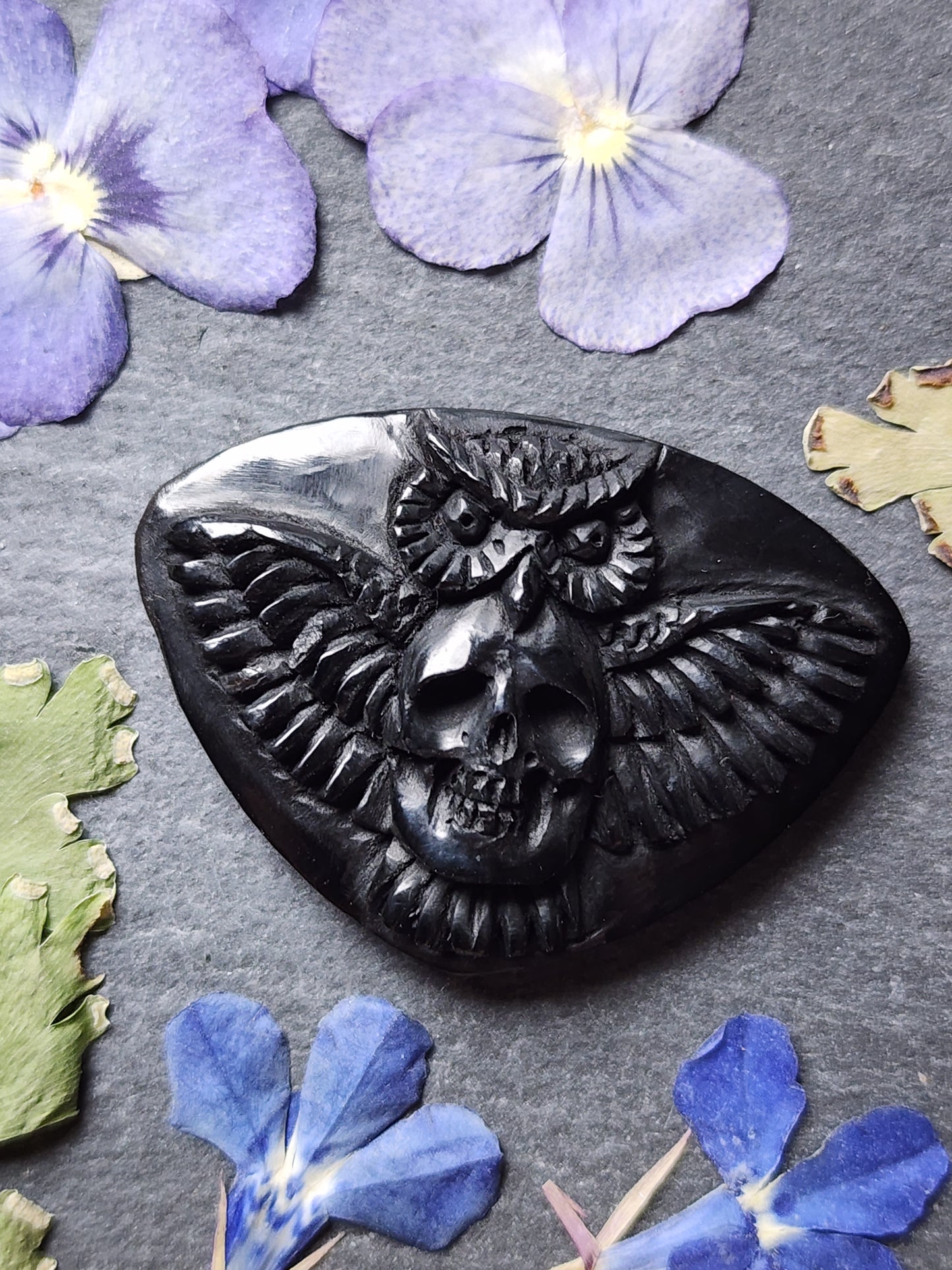 Owl & Skull