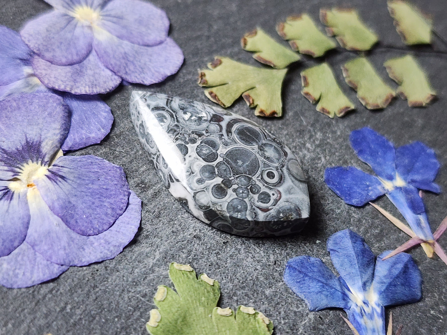 Galaxy Rhyolite