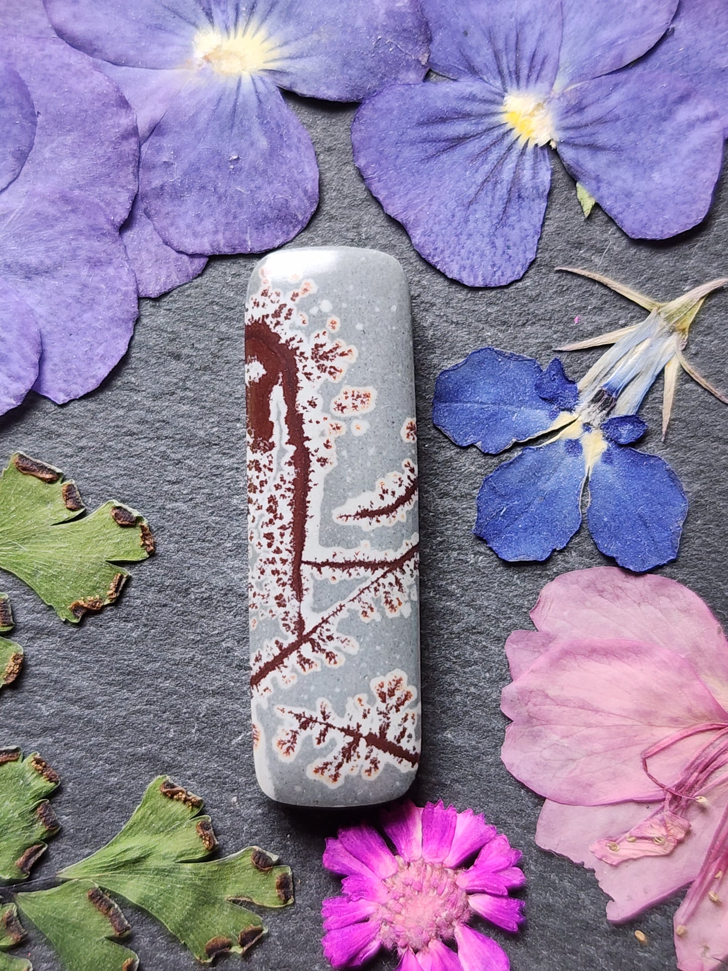 Sonoran Dendritic Rhyolite