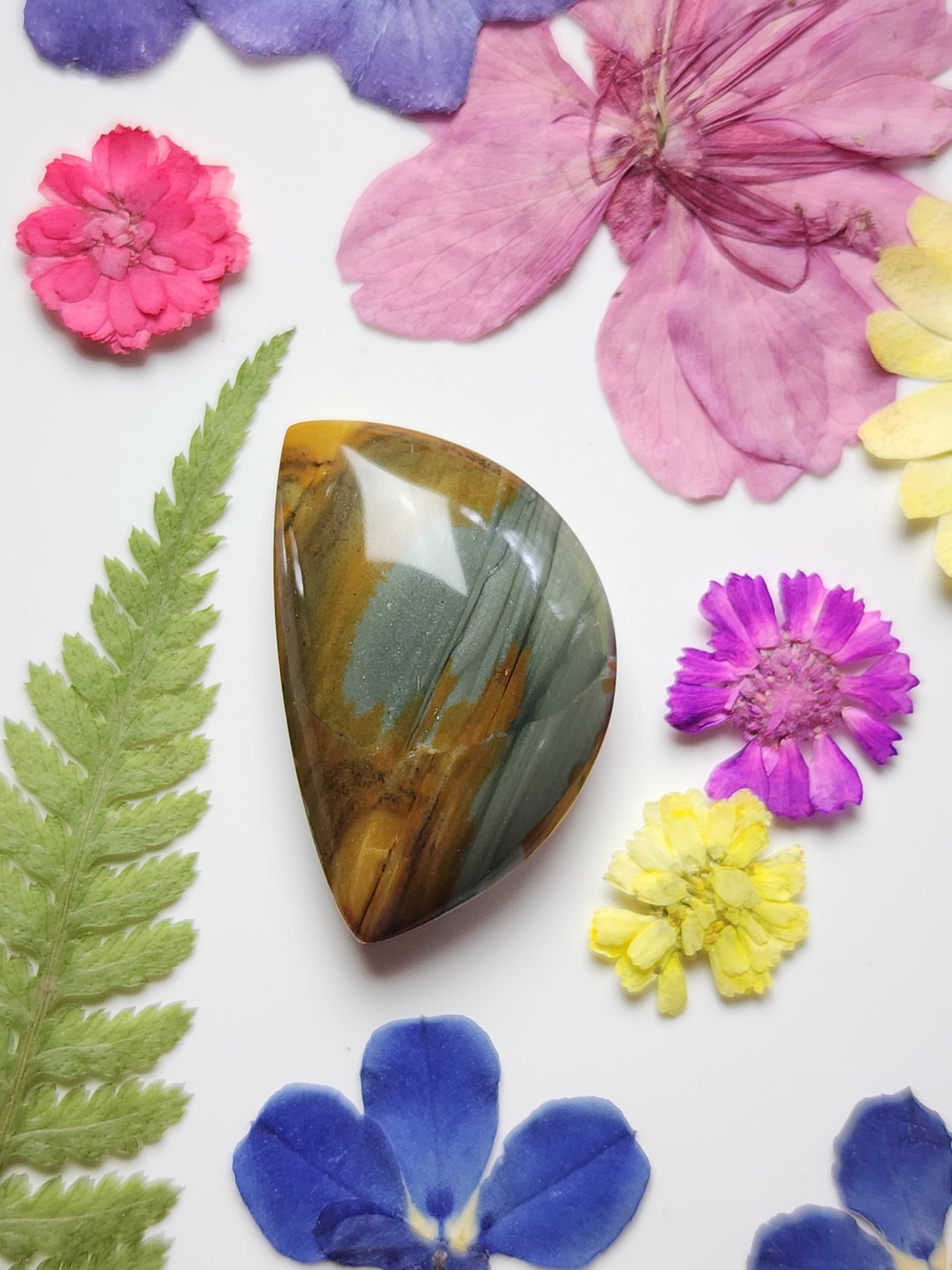 Owyhee jasper