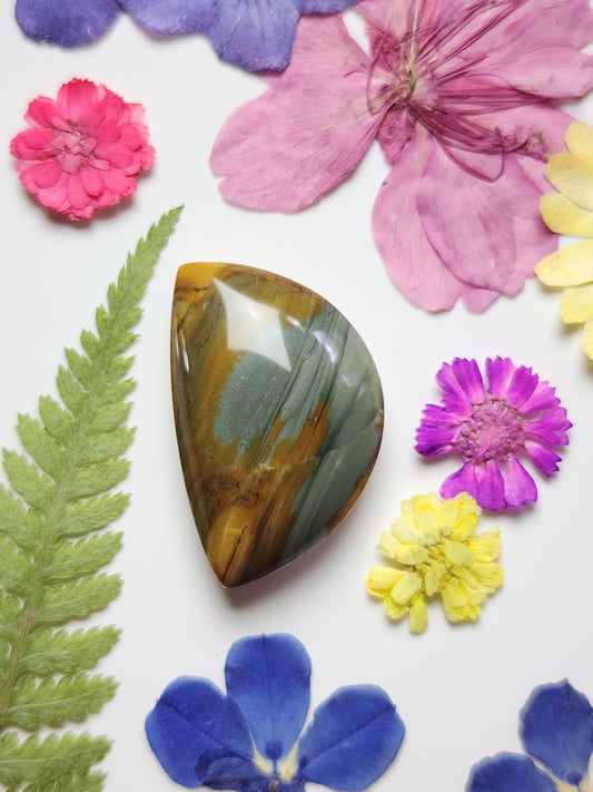 Owyhee jasper