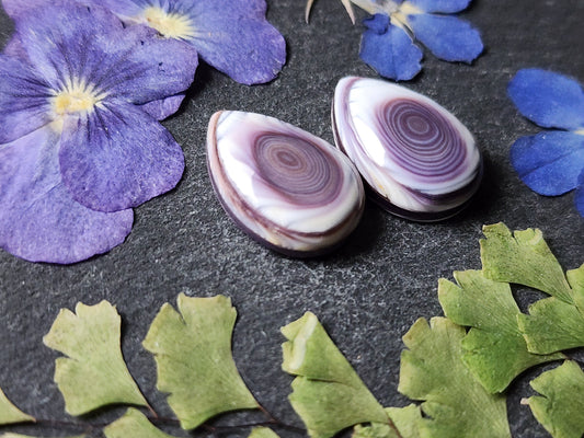 Wampum shell pair