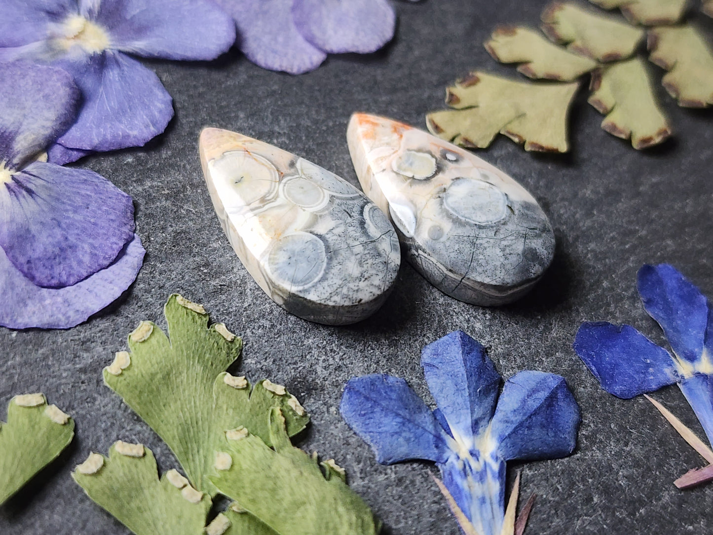 Galaxy Rhyolite pair