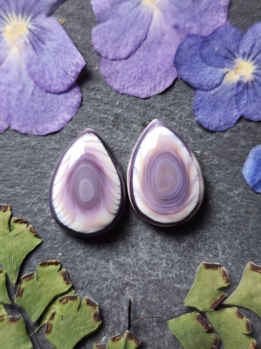Wampum shell pair