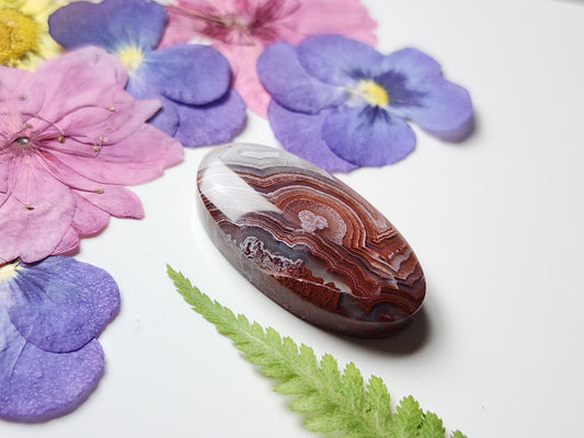 Laguna lace agate