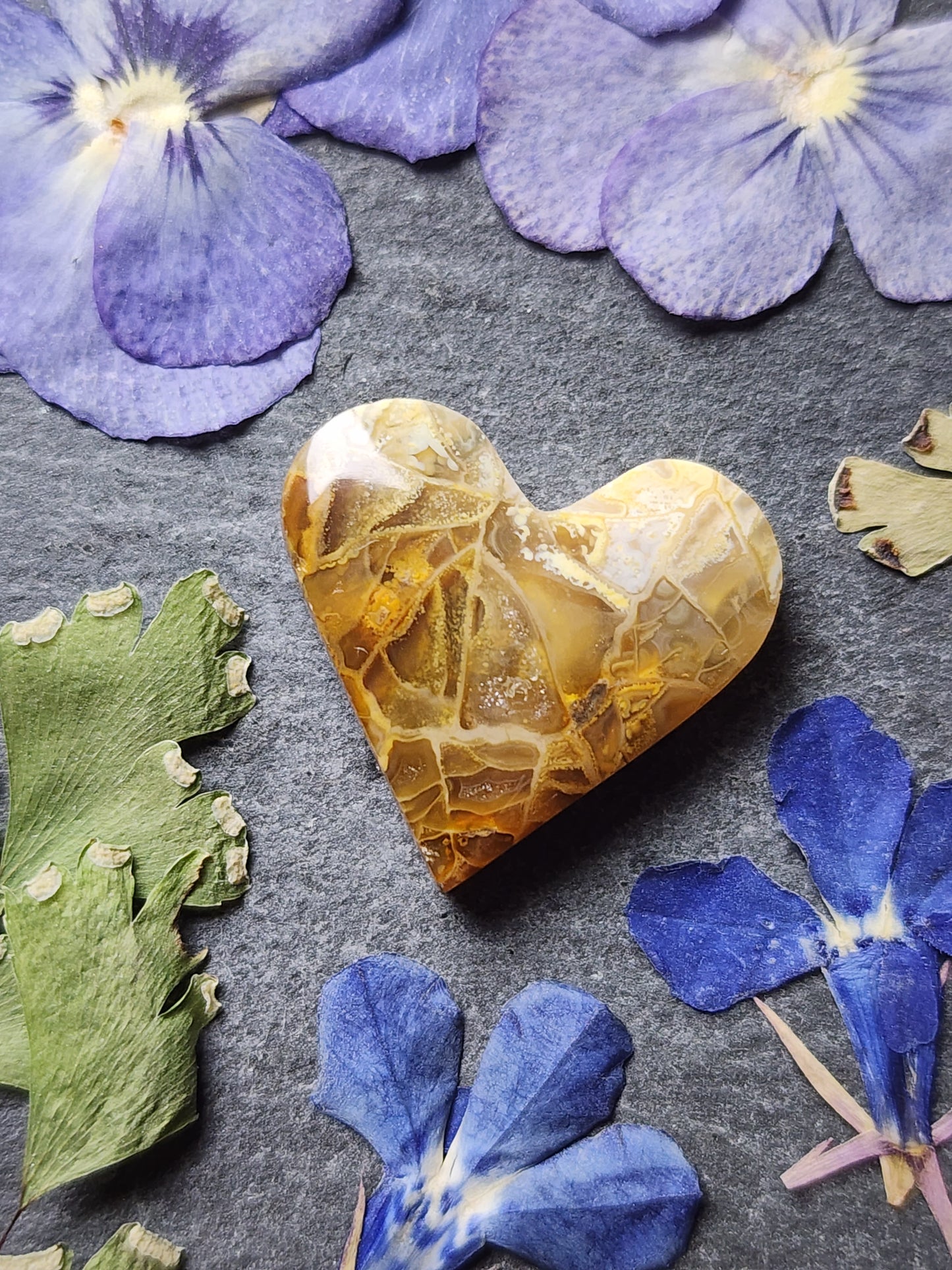 Fossilized Coral heart