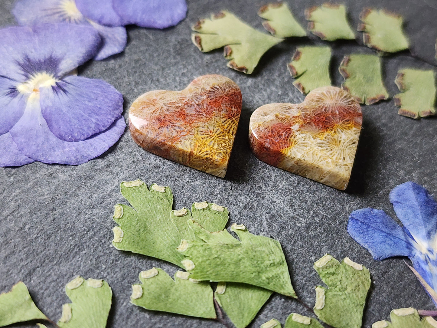 Fossilized coral heart pair