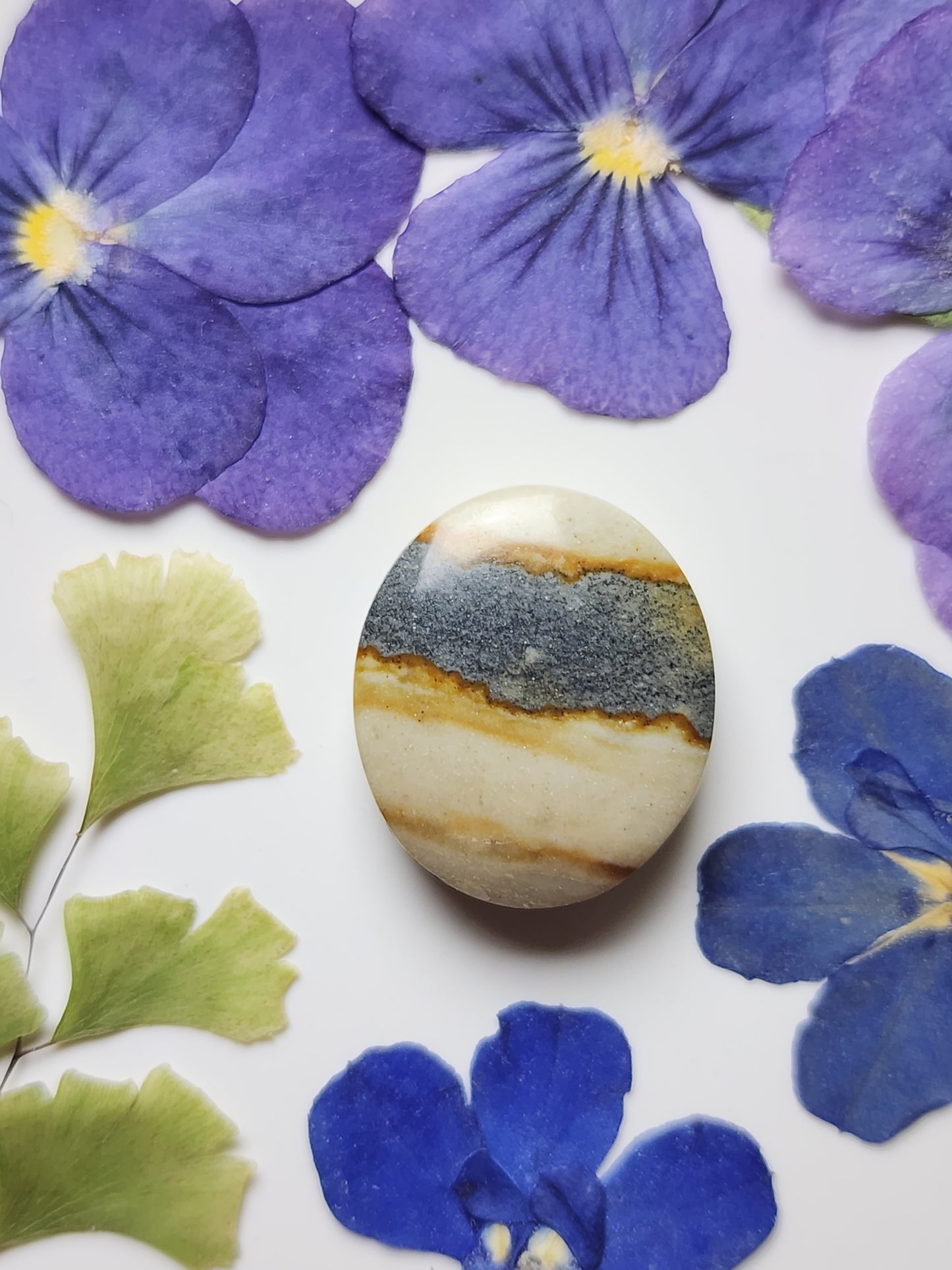 Starry night picture jasper