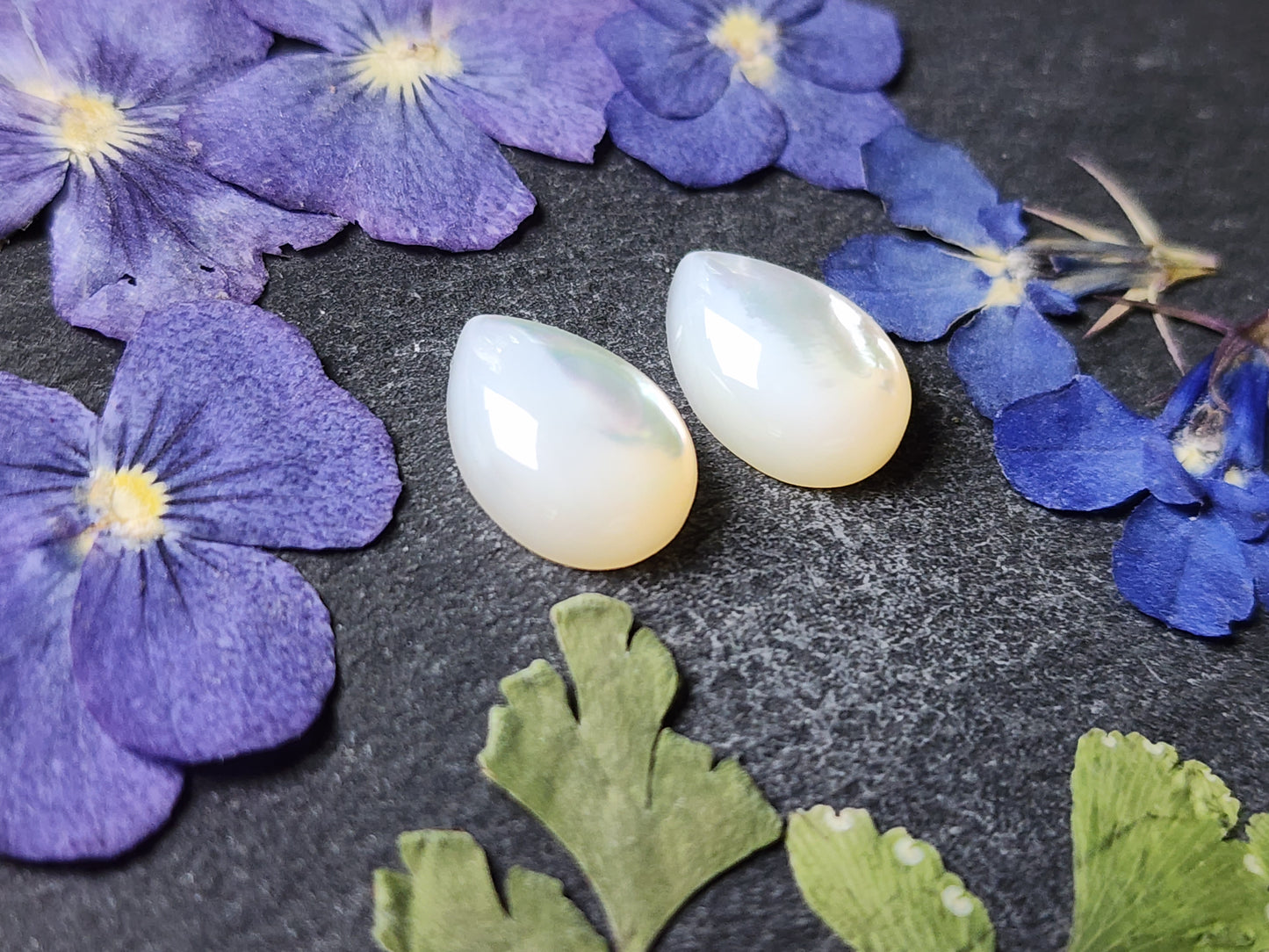 Mother of pearl shell pair (A1)
