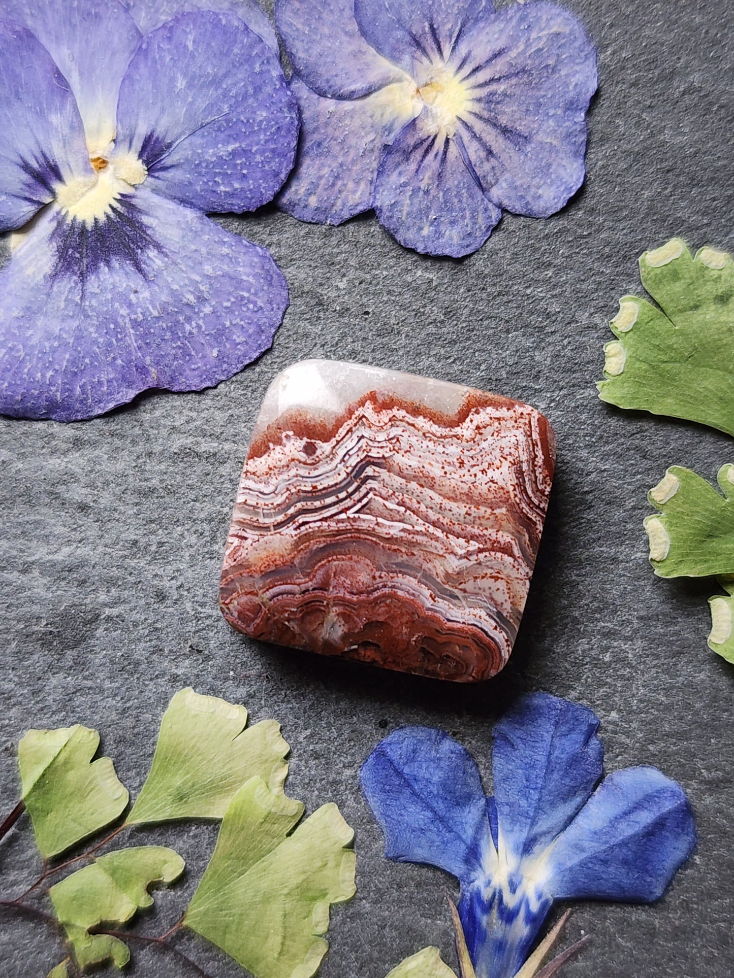 Laguna lace agate