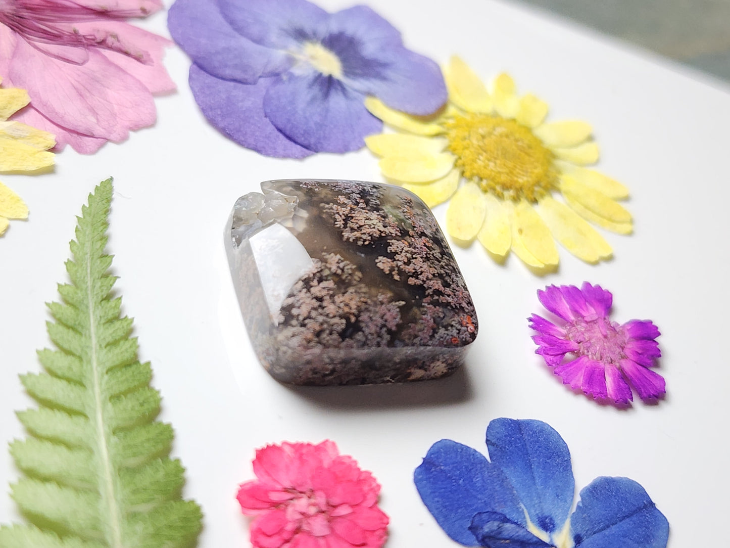 Garden Moss agate with Botryoidal