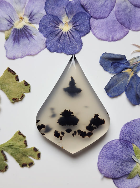 Montana agate