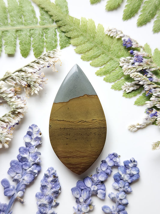 Spring Mountain picture jasper