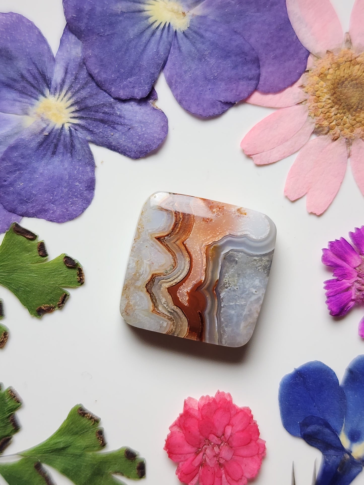Rincon lace agate