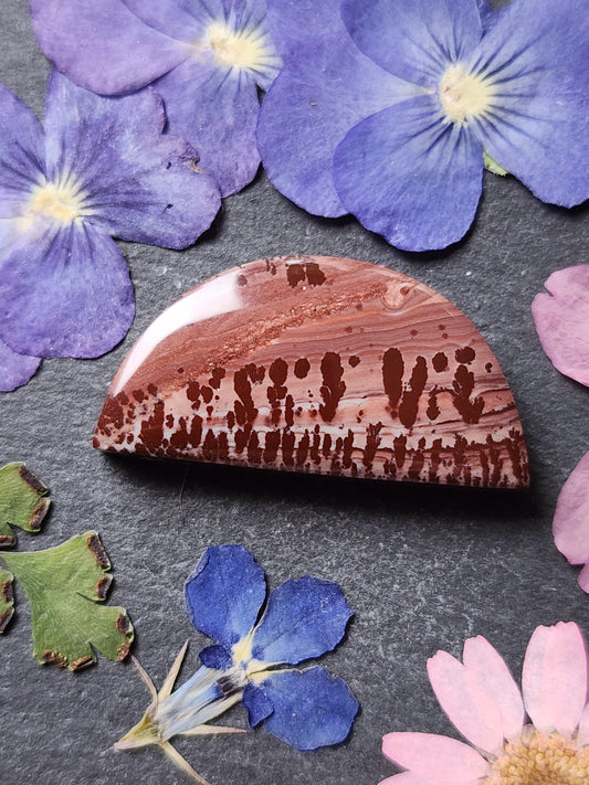 Mimbres Valley Apache Dendritic Rhyolite