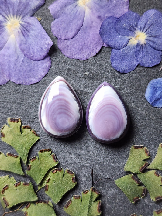 Wampum shell pair