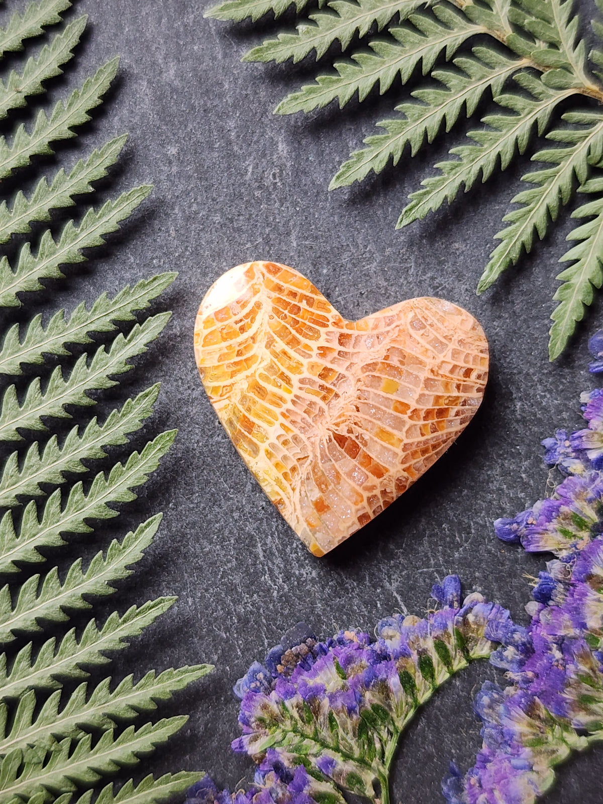 Fossilizee coral heart
