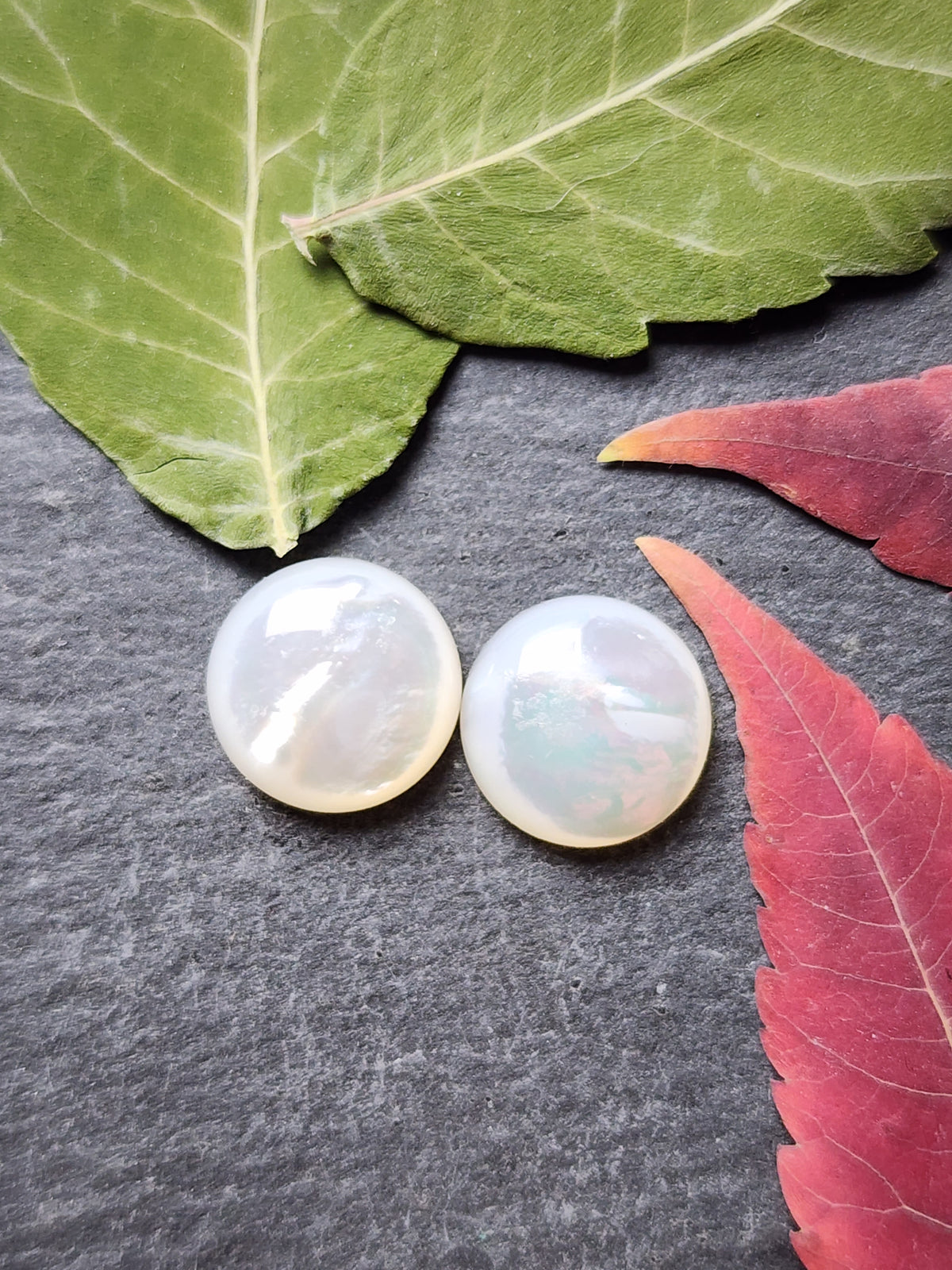 Mother of pearl shell pair (A1)