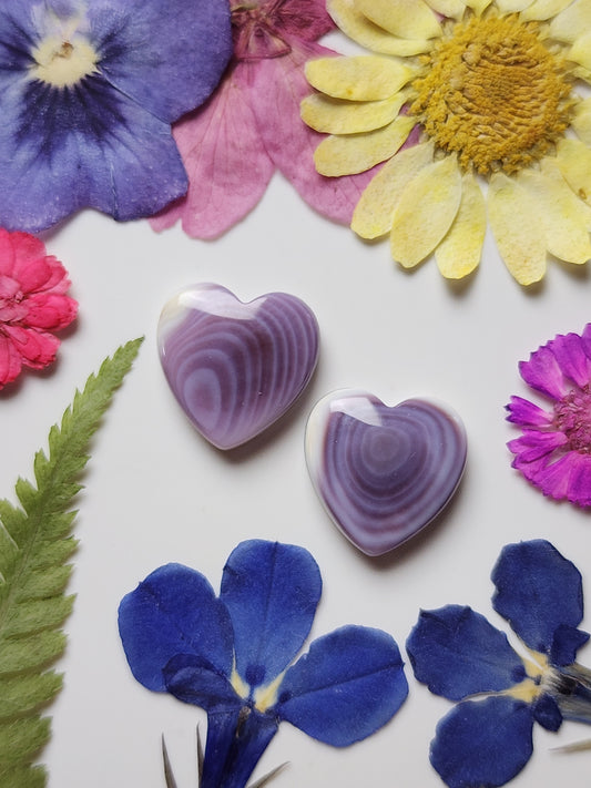 Wampum shell heart pair