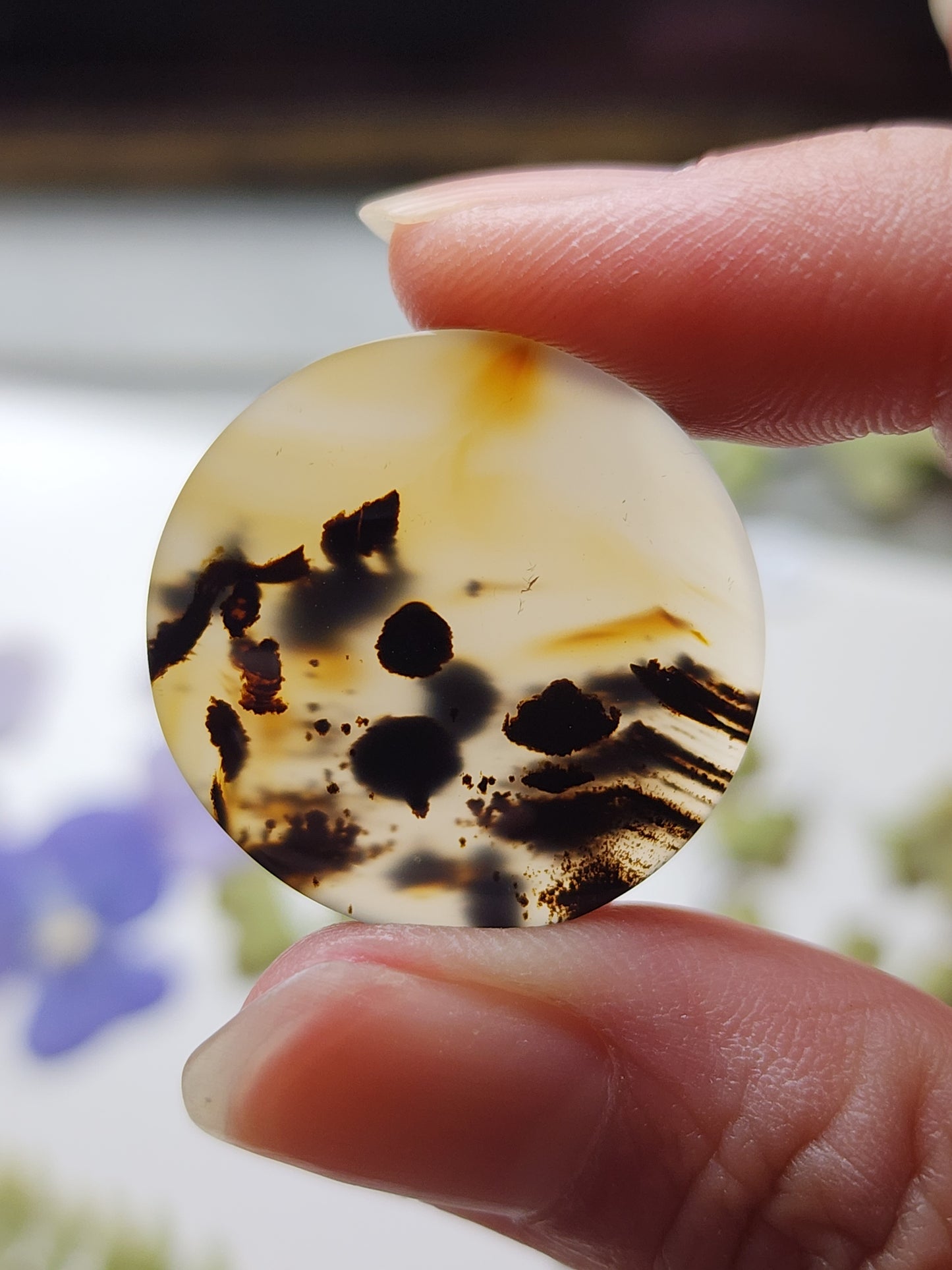 Montana agate