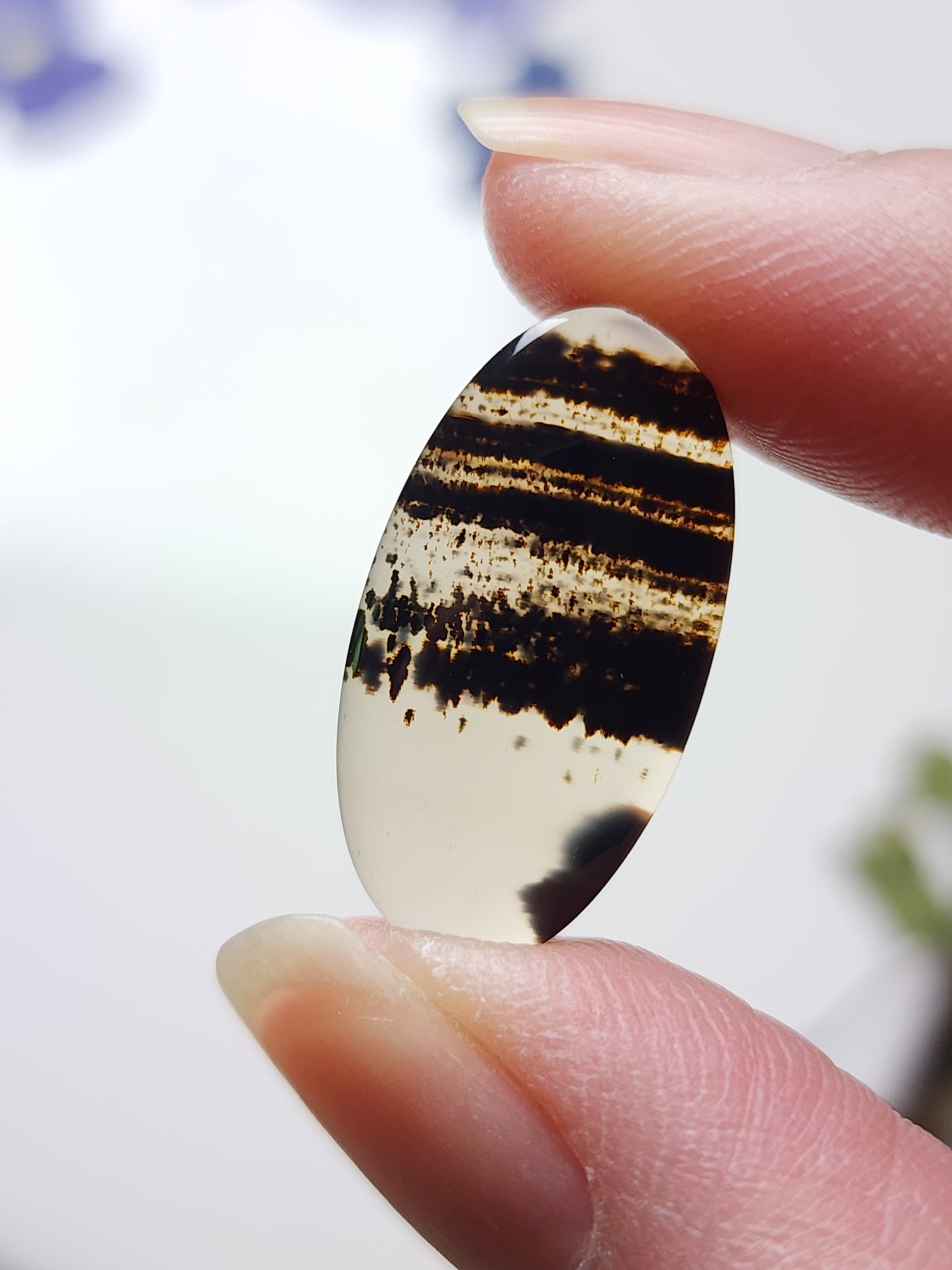 Montana agate