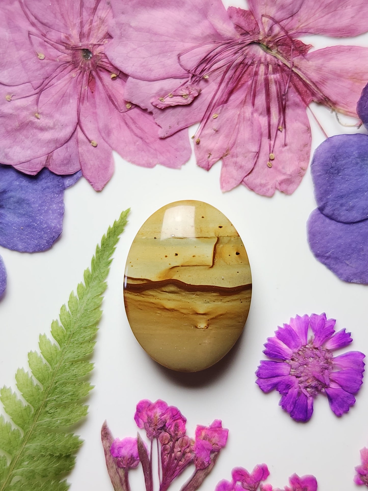 Owyhee picture jasper