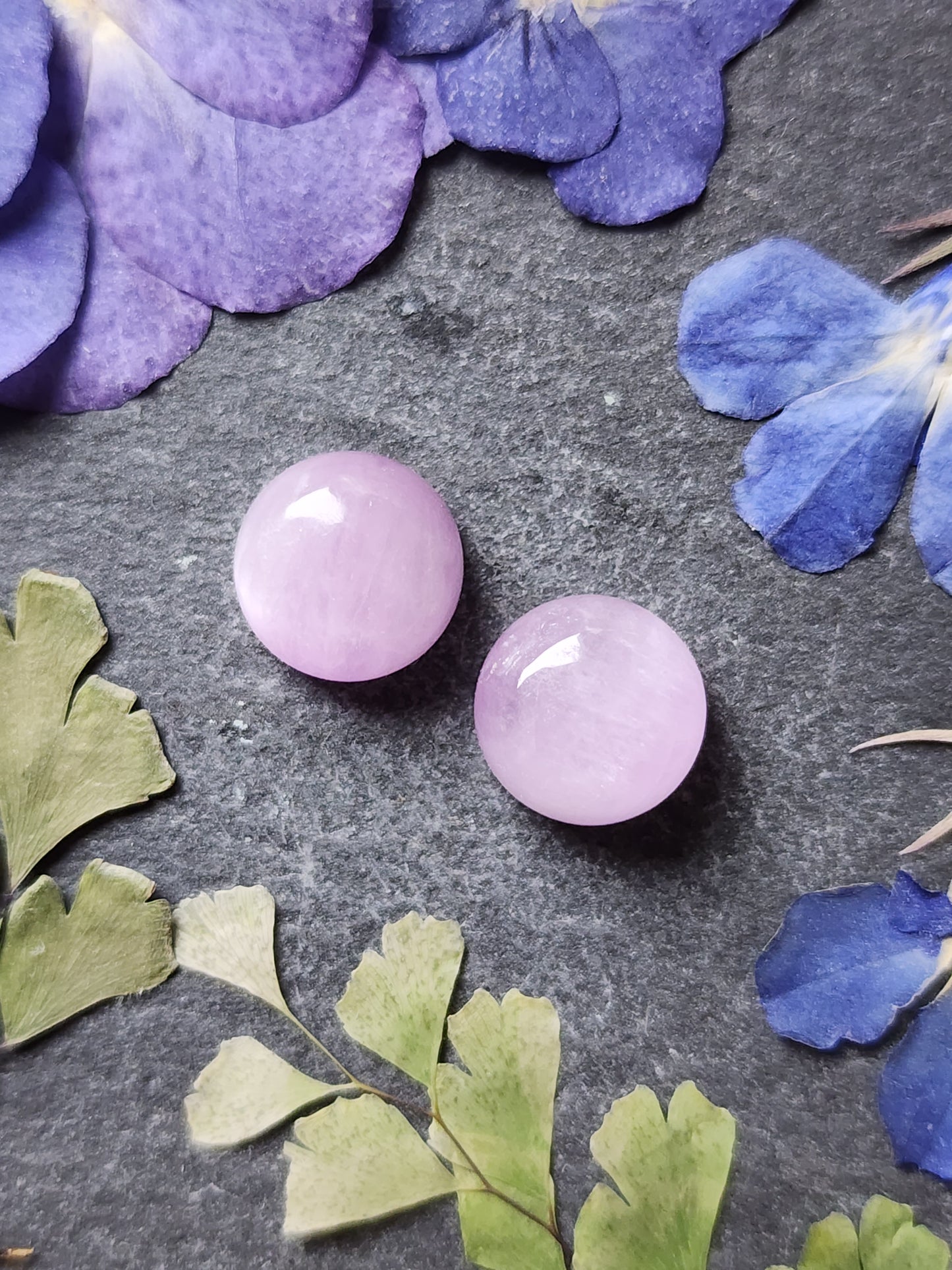 Lavender Kunzite pair