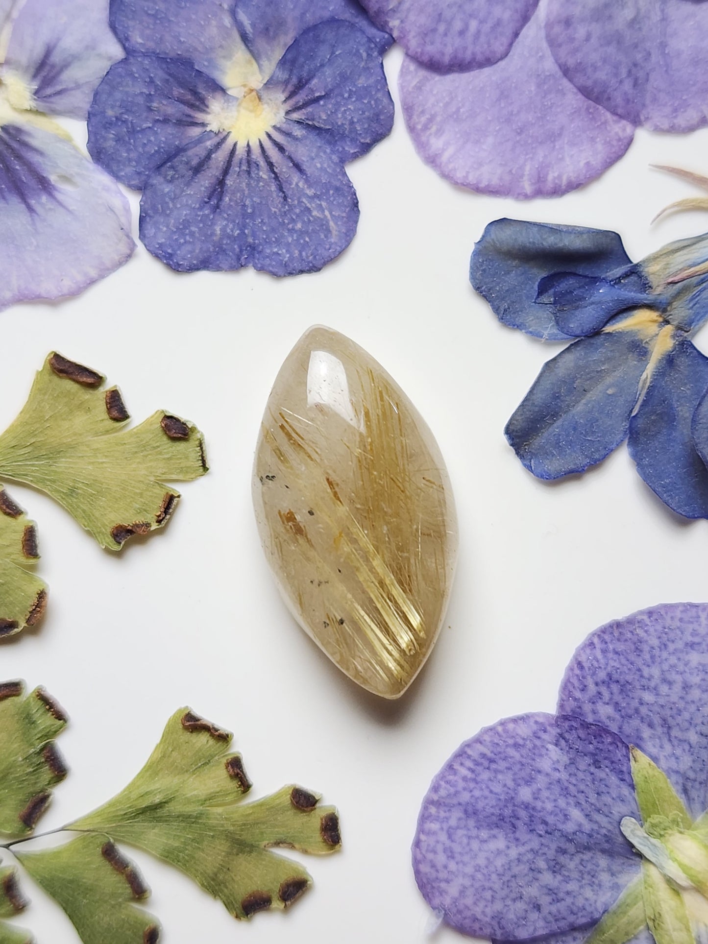 Rutilated Quartz